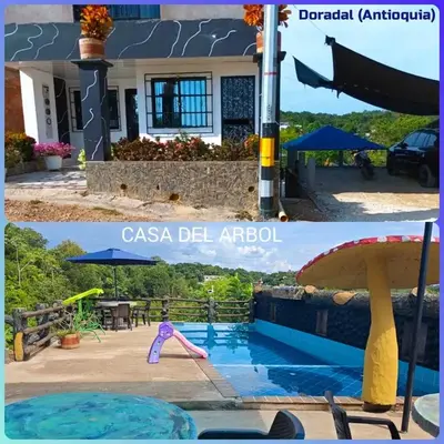 Casa Del Árbol