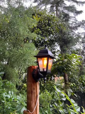 a street light on a wooden pole with trees at Cabaña & glamping para grupos de 4 a 6 personas, cerca al parque y con avistamiento de aves in Jardin