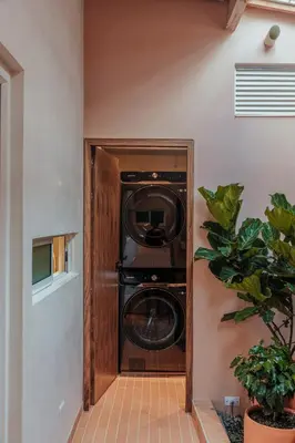 a washer and dryer in a room with a plant at NEW Cozy Duplex in Laureles with A/C and WI-FI in Medellín