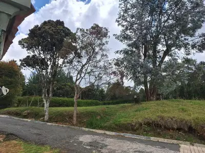 a field with trees on the side of a road at Casa San Miguel Santa Elena in Medellín