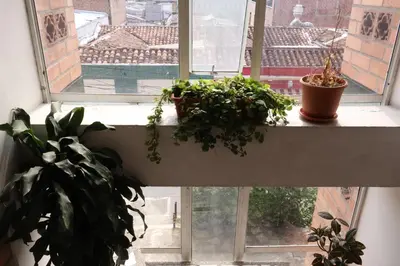 a window sill with two potted plants on it at Living Poblado Manila 3027 Habitación Individual in Medellín
