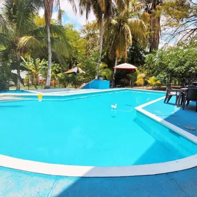 a large blue swimming pool with chairs and palm trees at Hermoso Duplex campestre in Honda