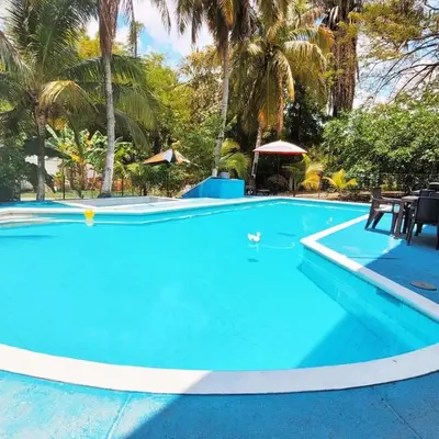 a swimming pool with blue water and palm trees at Beautiful duplex in Honda