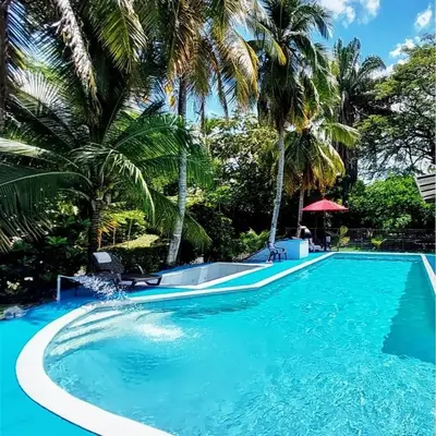 a swimming pool with palm trees in the background at Beautiful duplex in Honda