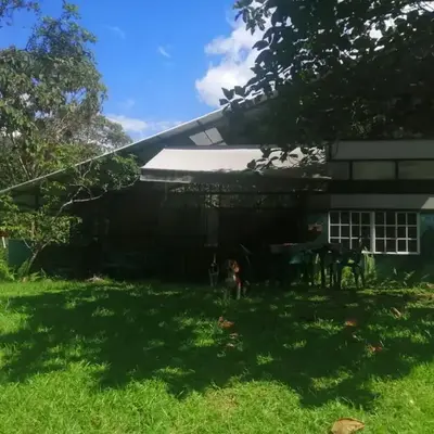 Glasshouse with river