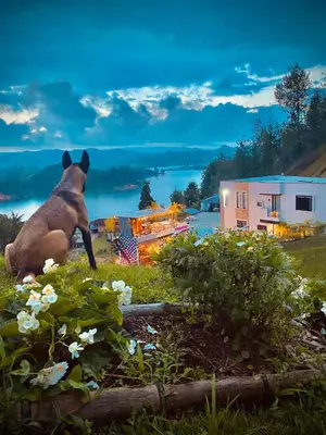 a statue of a bear sitting in the grass at GUATAPE By MONTE GANDOLFO in Chiquinquirá