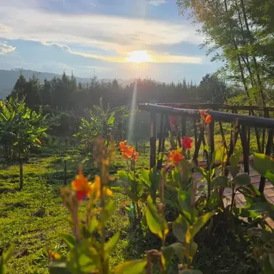 Finca La Preciosura