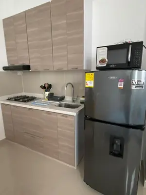 a kitchen with a stainless steel refrigerator and a microwave at Las Flores de Mria 303 in Jardin