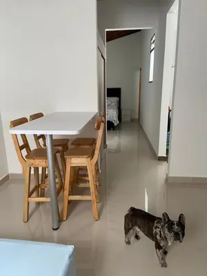 a small dog standing next to a table and chair at Las Flores de Mria 303 in Jardin