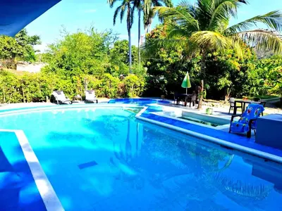 a swimming pool with blue water and palm trees at Siboney hotel in Honda