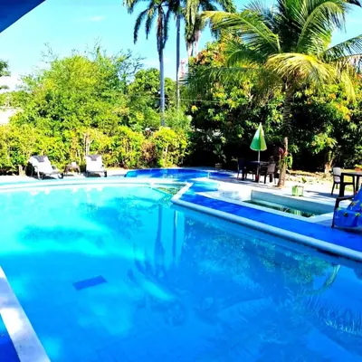a swimming pool with blue water and palm trees at Siboney hotel in Honda