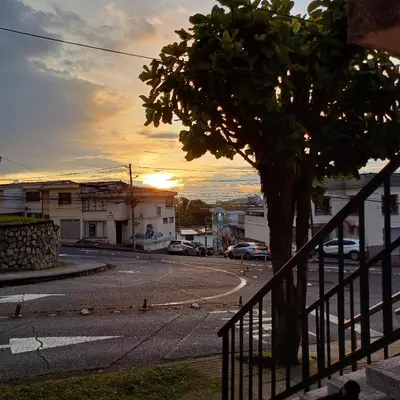 a tree on the side of a street with a fence at El Mejor Aparta Estudio De La Ciudad in Manizales