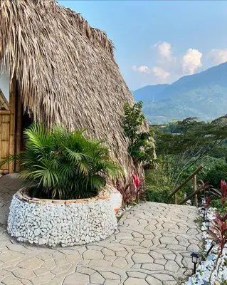 a stone walkway with plants in front of a building at Green view glamping cabin with unlimited Jacuzzi in Cocorná