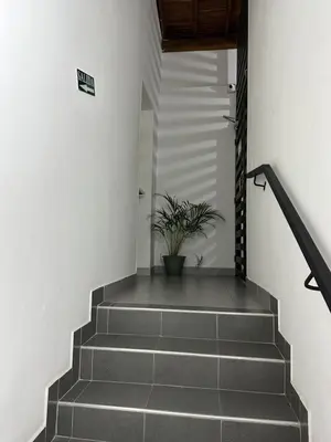 a stairway with a potted plant in the middle at Aparta estudio amoblado 3 Medellin, San joaquin in Medellín